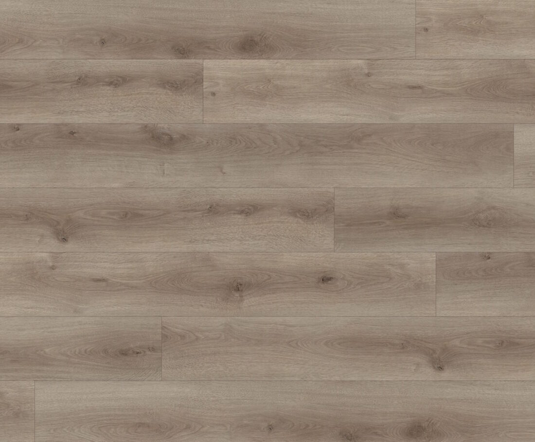 Canva Radial Brown Swatch