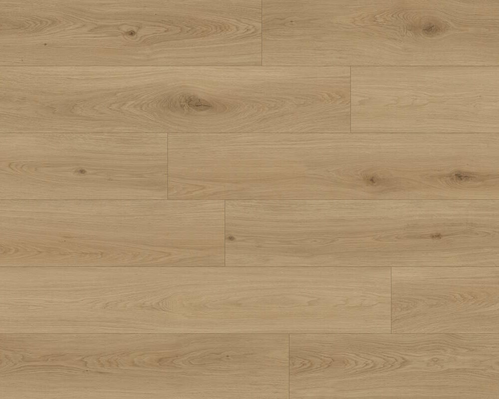 Hydro Elite Heavenly Hazelnut Swatch