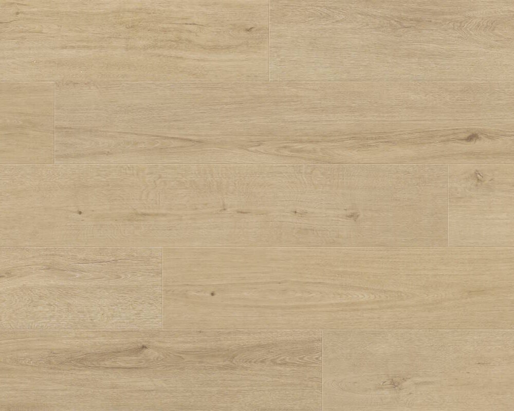 Hydro Classics Beach Day Beige Swatch