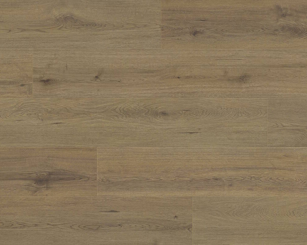 Hydro Classics Iced Coffee Swatch