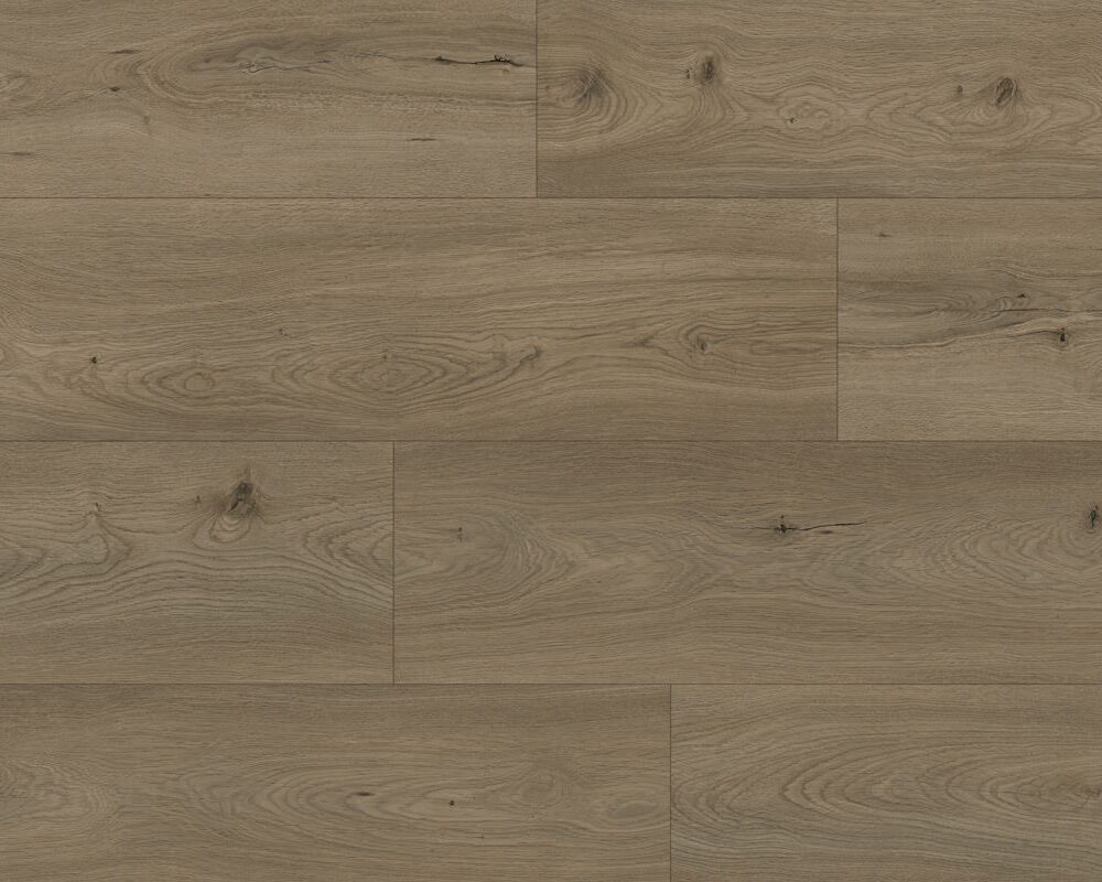 Forest Expressions Carbon Concrete Floor Swatch