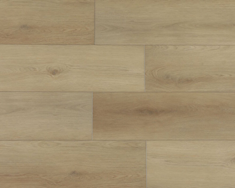 Forest Expressions Boreal Beige Floor Swatch