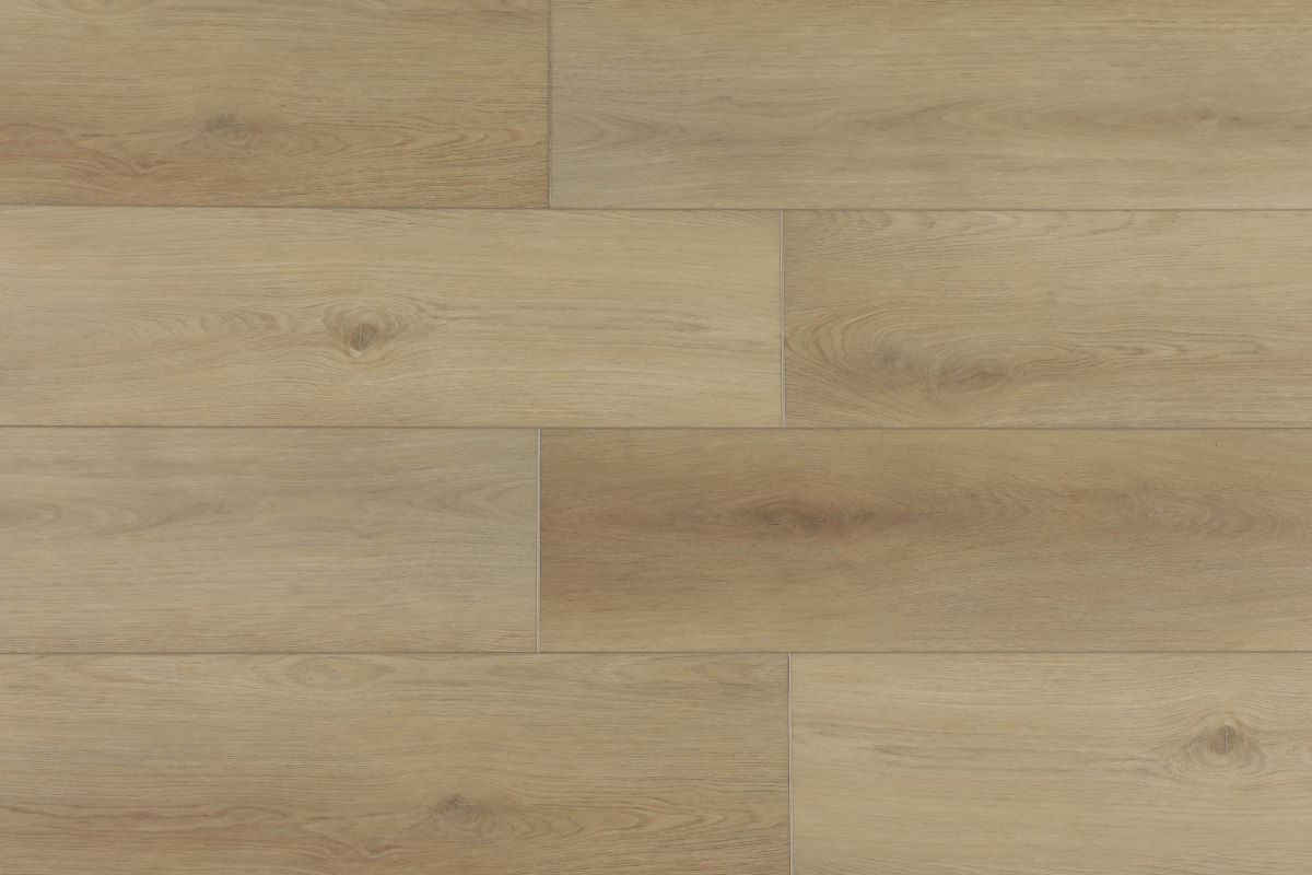 Forest Expressions Boreal Beige Floor Swatch
