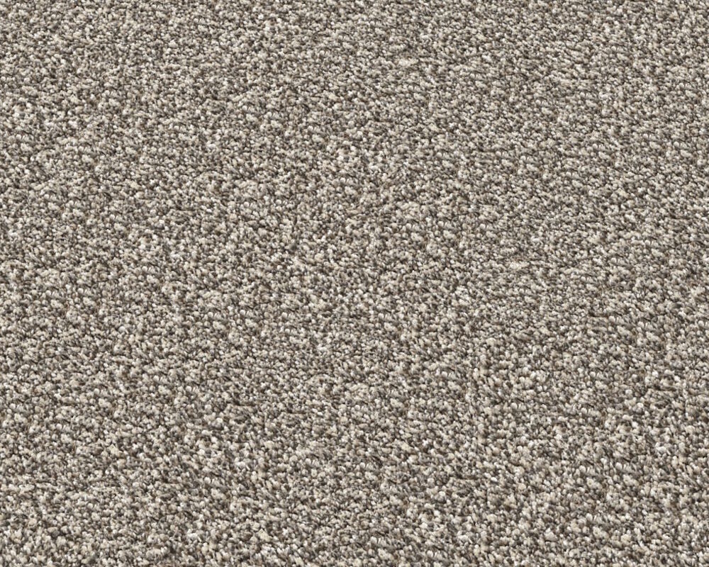 Asher Driftwood Carpet Swatch