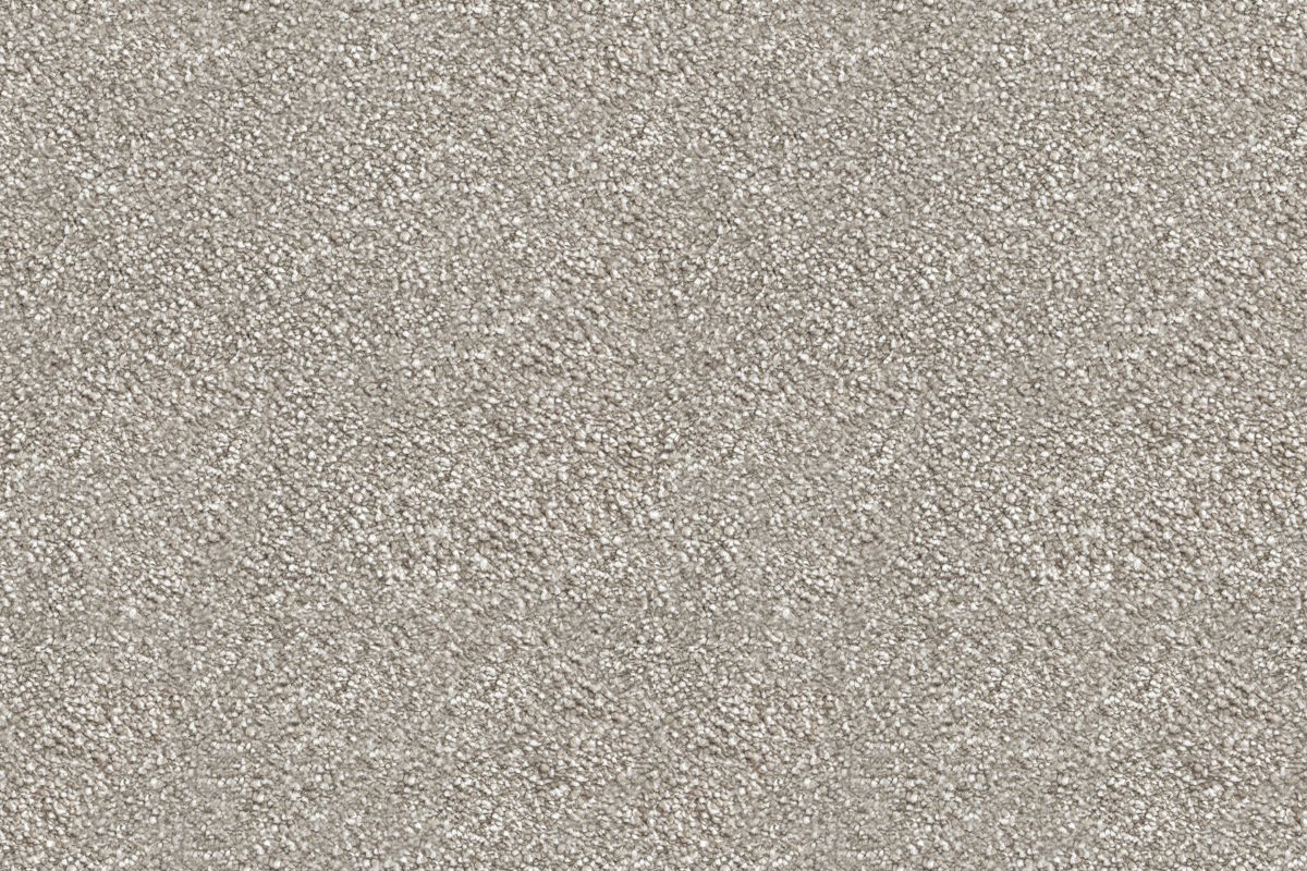 Asher Warm Birch Carpet Swatch